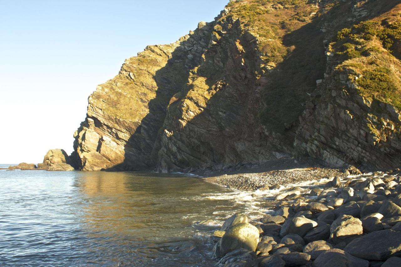 Kittiwake Cottage Braunton Zewnętrze zdjęcie